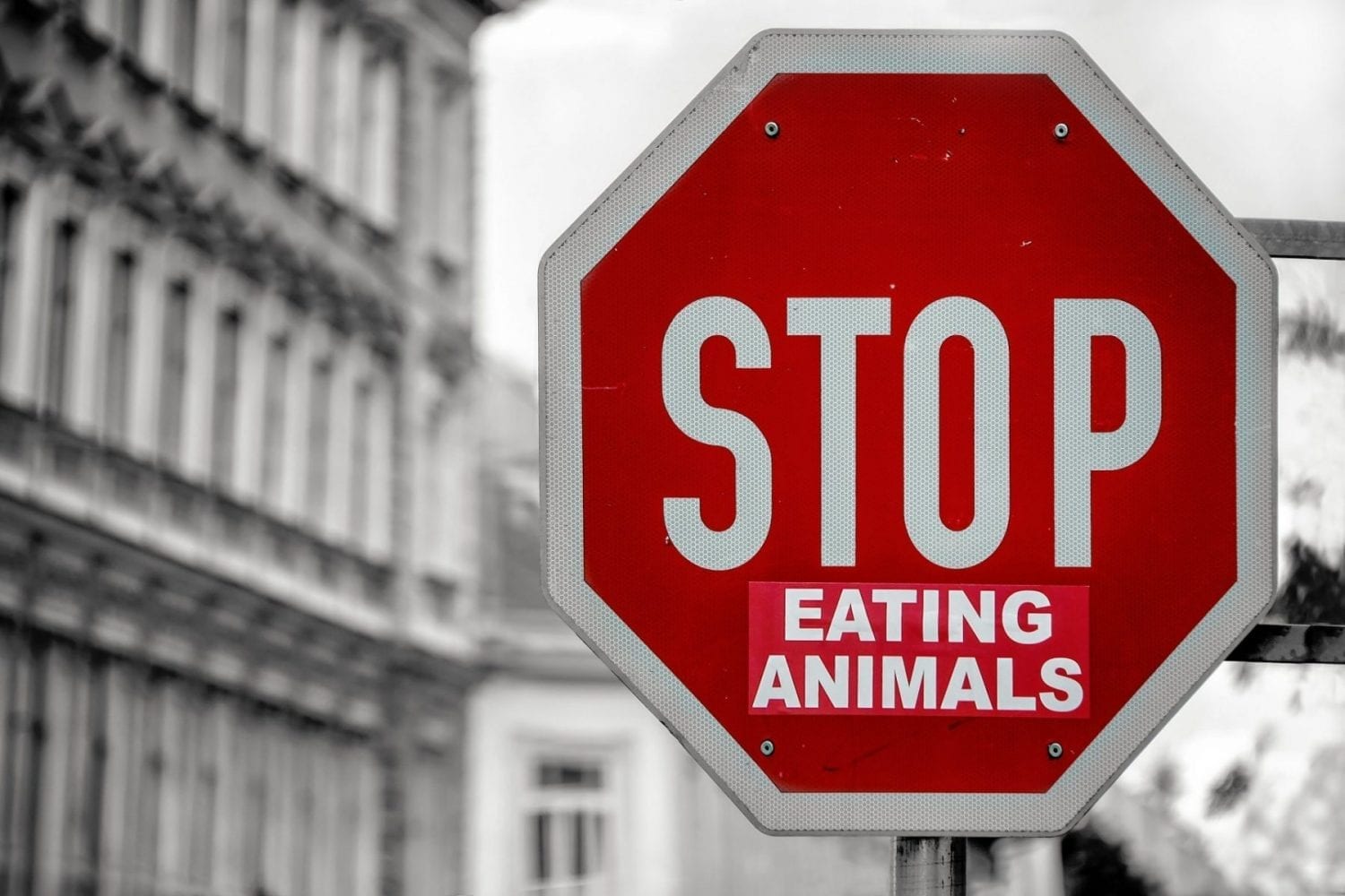 A "Stop" road sign, with the suffix "Eating animals" beneath it
