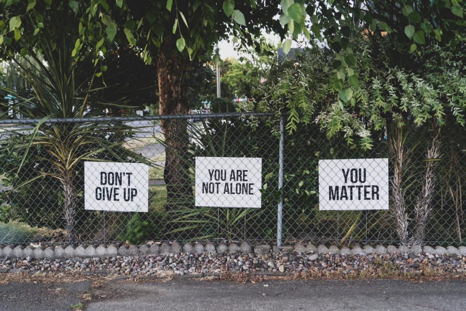 Three signs on a fence, with the words "Don't give up", "You are not alone" and "You matter"