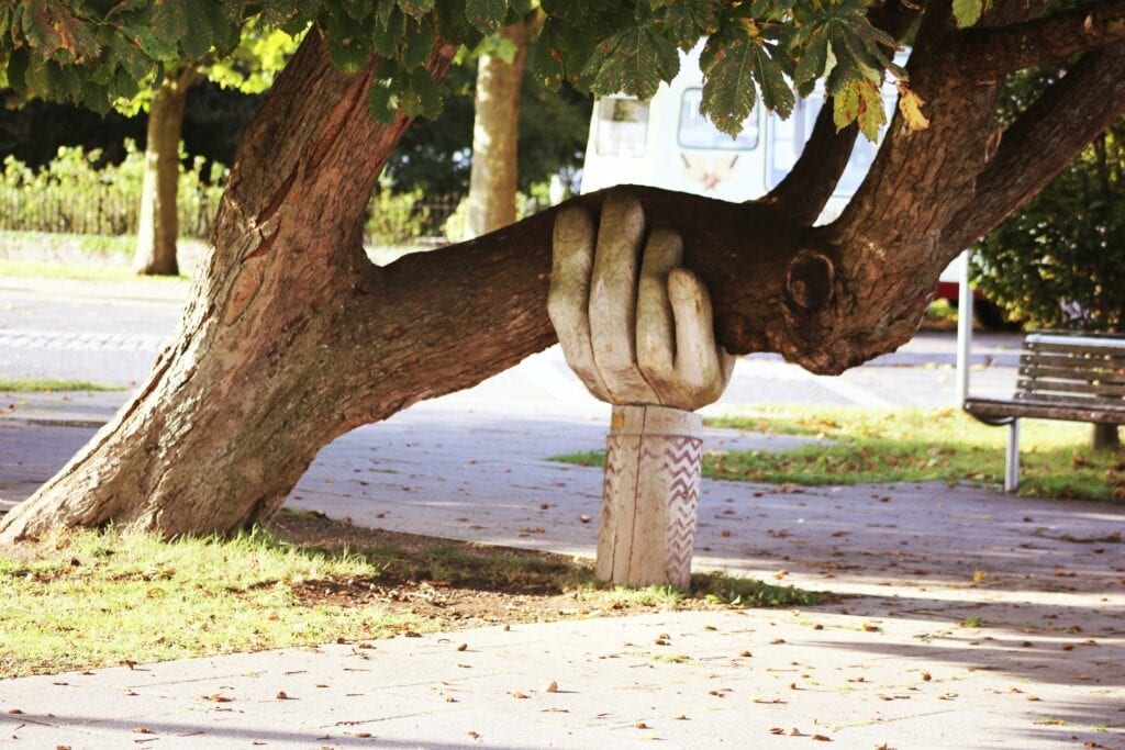 A wooden hand sculpture supporting a tree