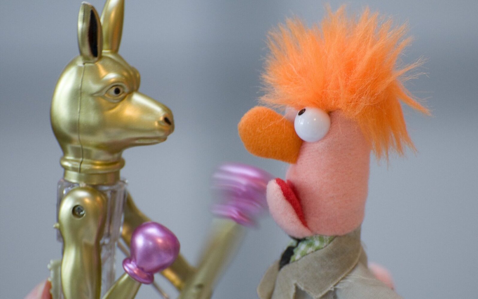 A toy kangaroo boxer punching a muppet in the face