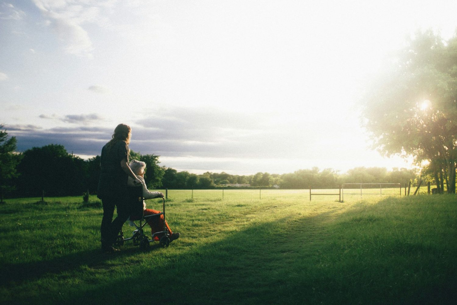 a carer pushing a wheelchair in a green space
