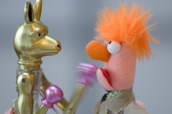 A toy kangaroo boxer punching a muppet in the face