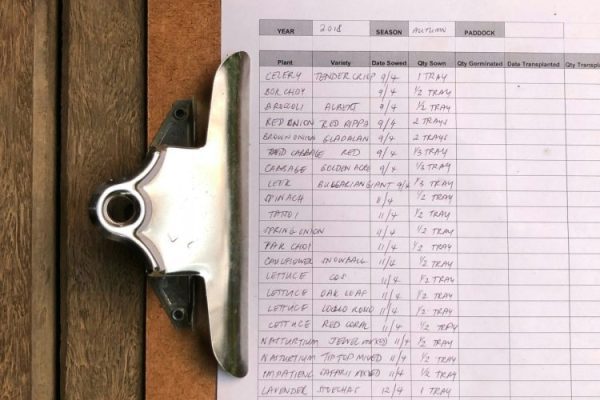 eco-warrior-princess-lUShu7PHIGA-unsplash